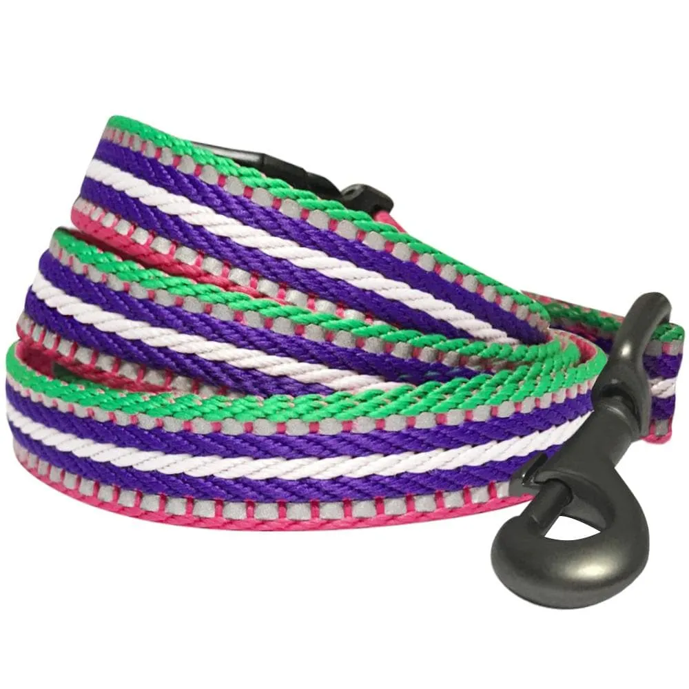 3M Reflective Dog Leash with Neoprene Padded Handle in Multi-colored Stripes