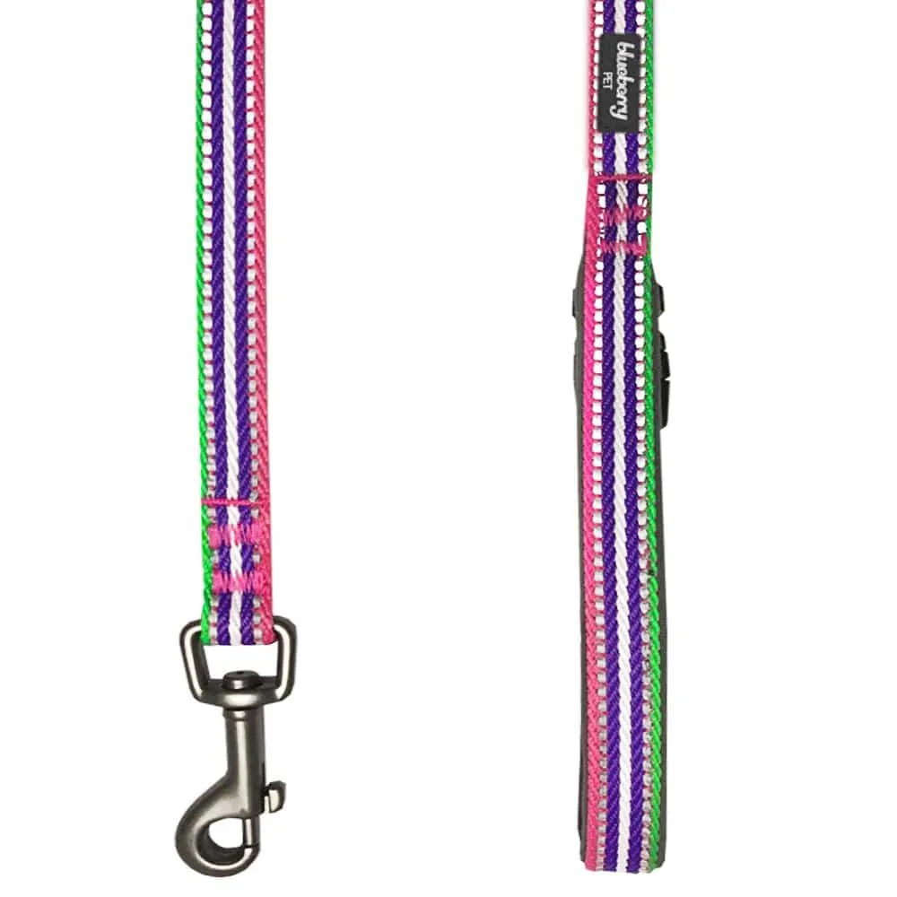 3M Reflective Dog Leash with Neoprene Padded Handle in Multi-colored Stripes