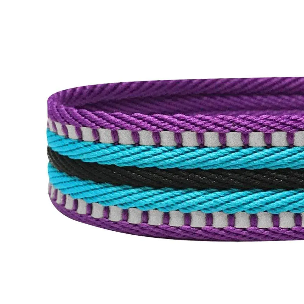 3M Reflective Dog Leash with Neoprene Padded Handle in Multi-colored Stripes