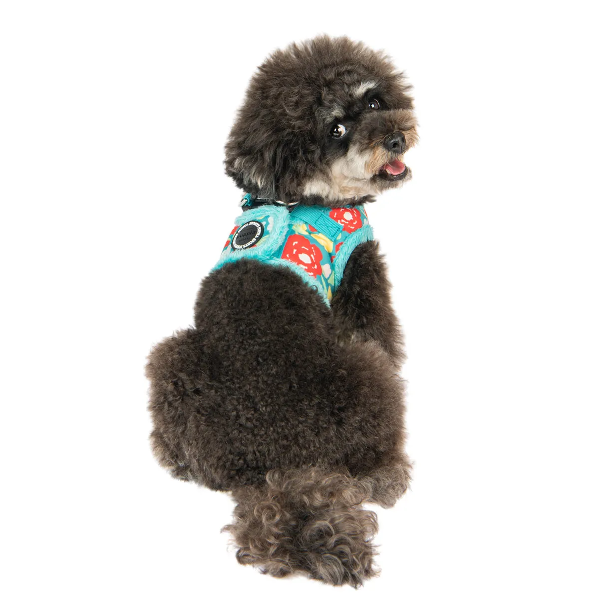 Alyssa Dog Harness B