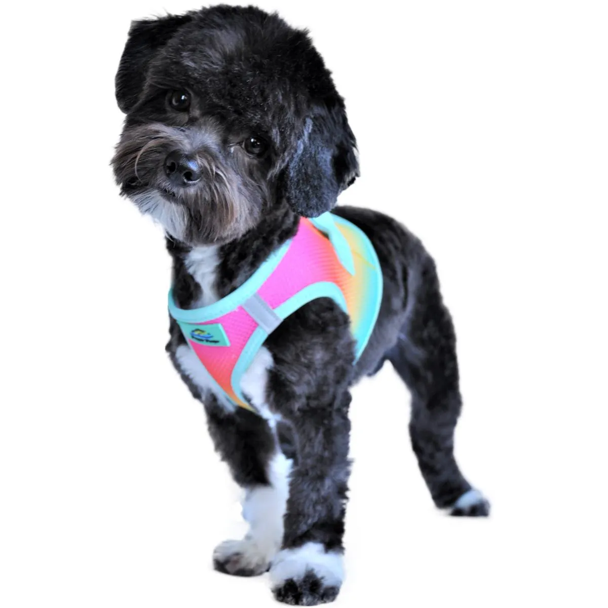 American River Ombre Dog Harness Beach Party