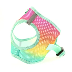 American River Ombre Dog Harness Beach Party