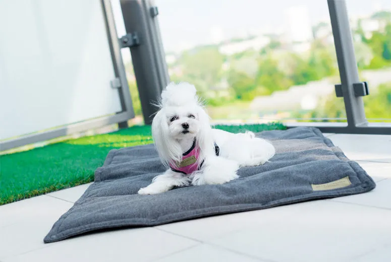 Bowl and Bone Graphite Loft Dog Mat