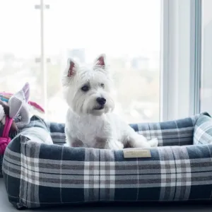 Bowl and Bone Scott Blue Dog Bed