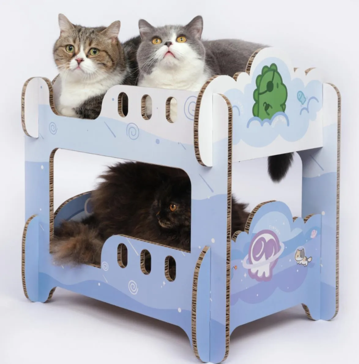 Boys' Dormitory Blue Cat Scratching Board