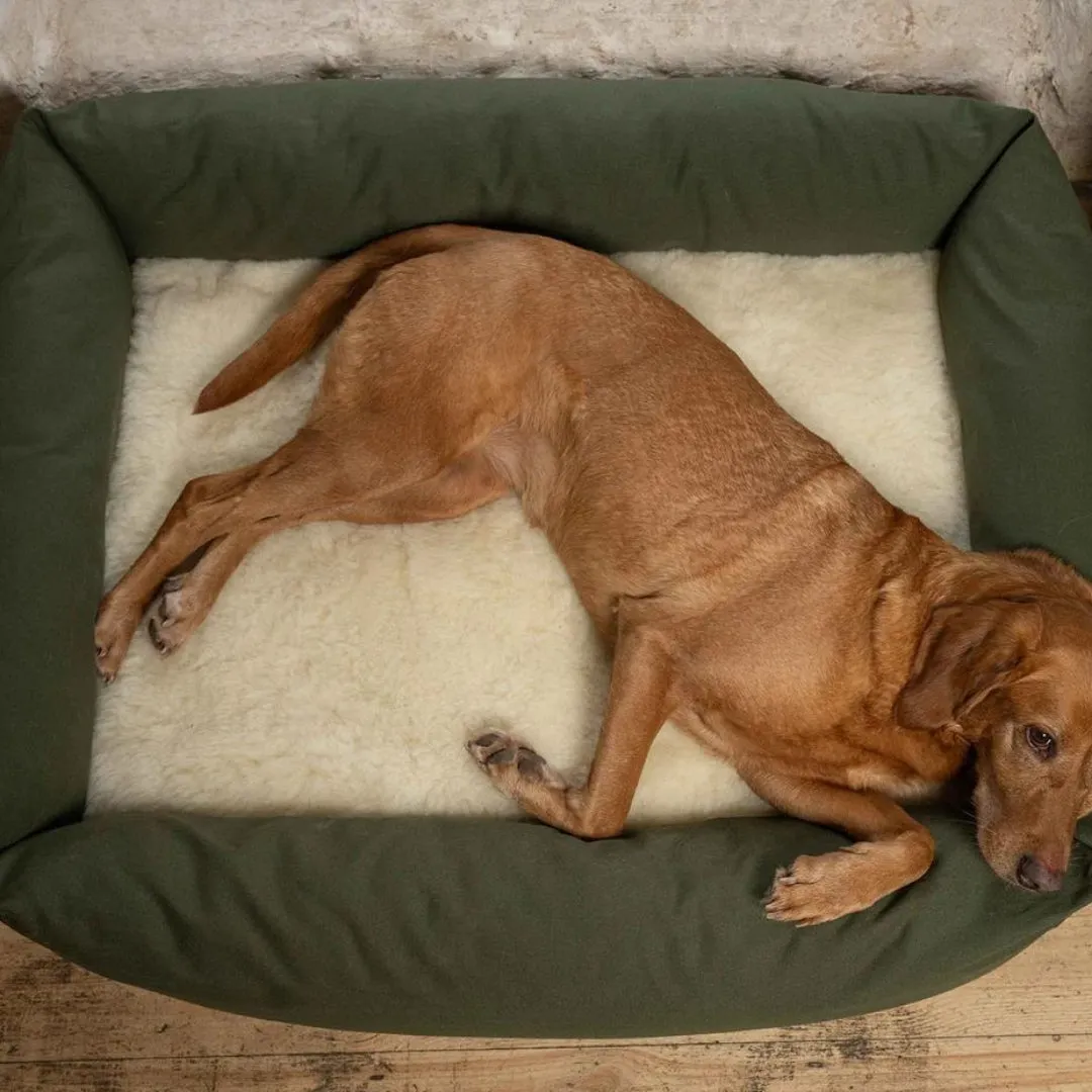 Burnham Bolster Dog Bed - Olive