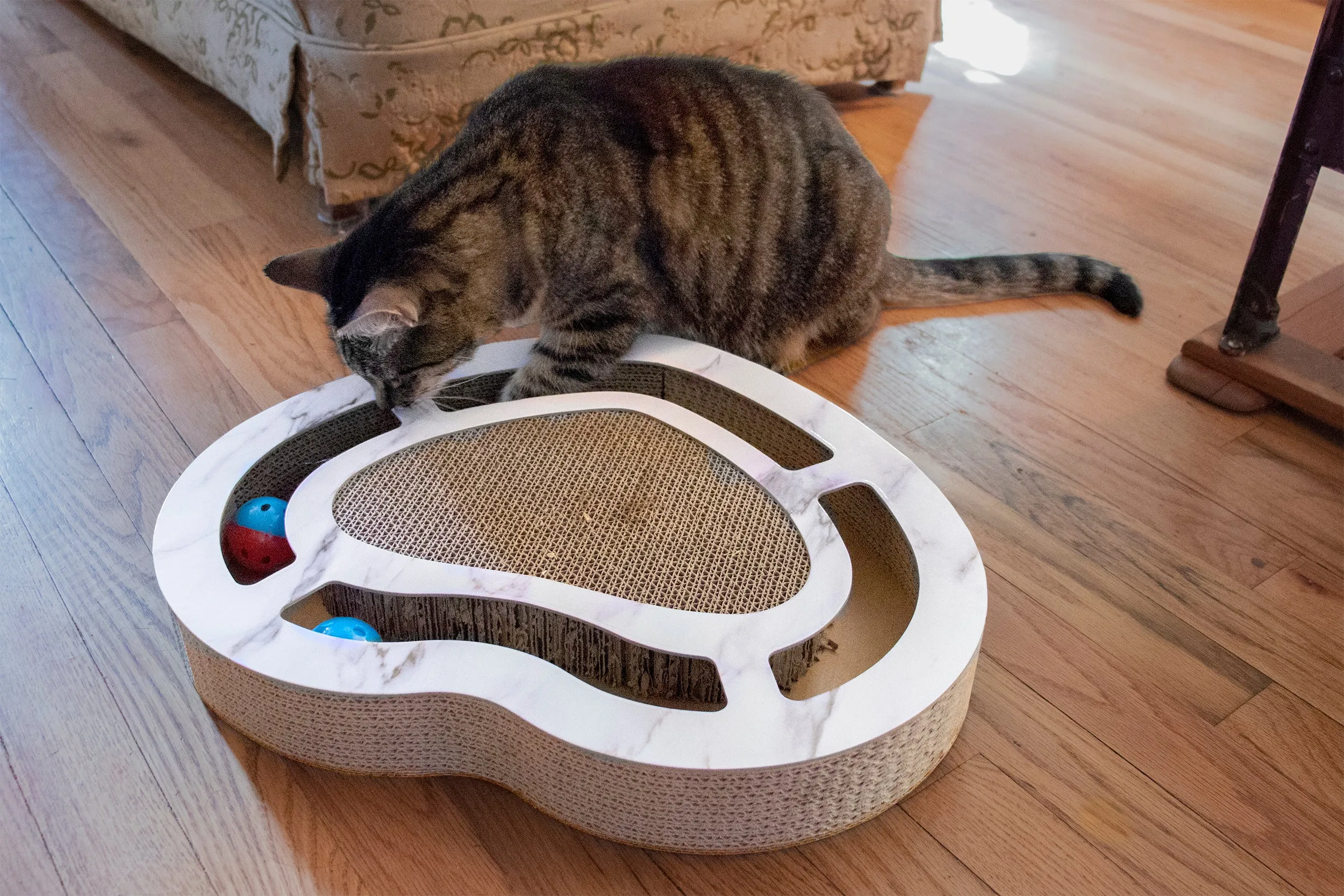 Busy Box Corrugated Cat Scratcher with Catnip