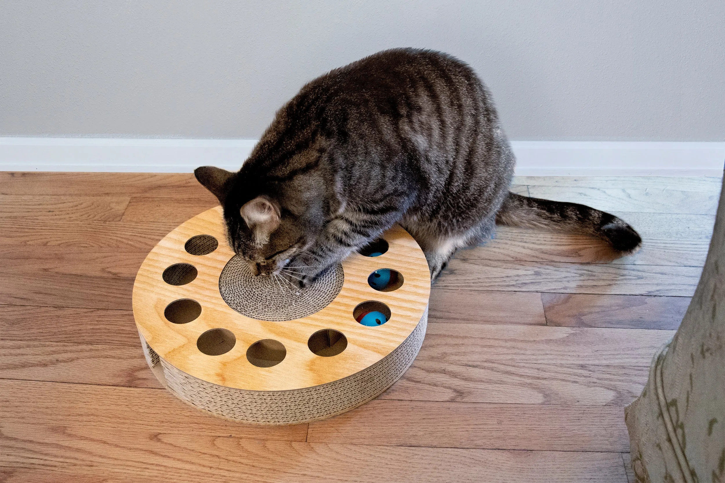 Busy Box Corrugated Cat Scratcher with Catnip