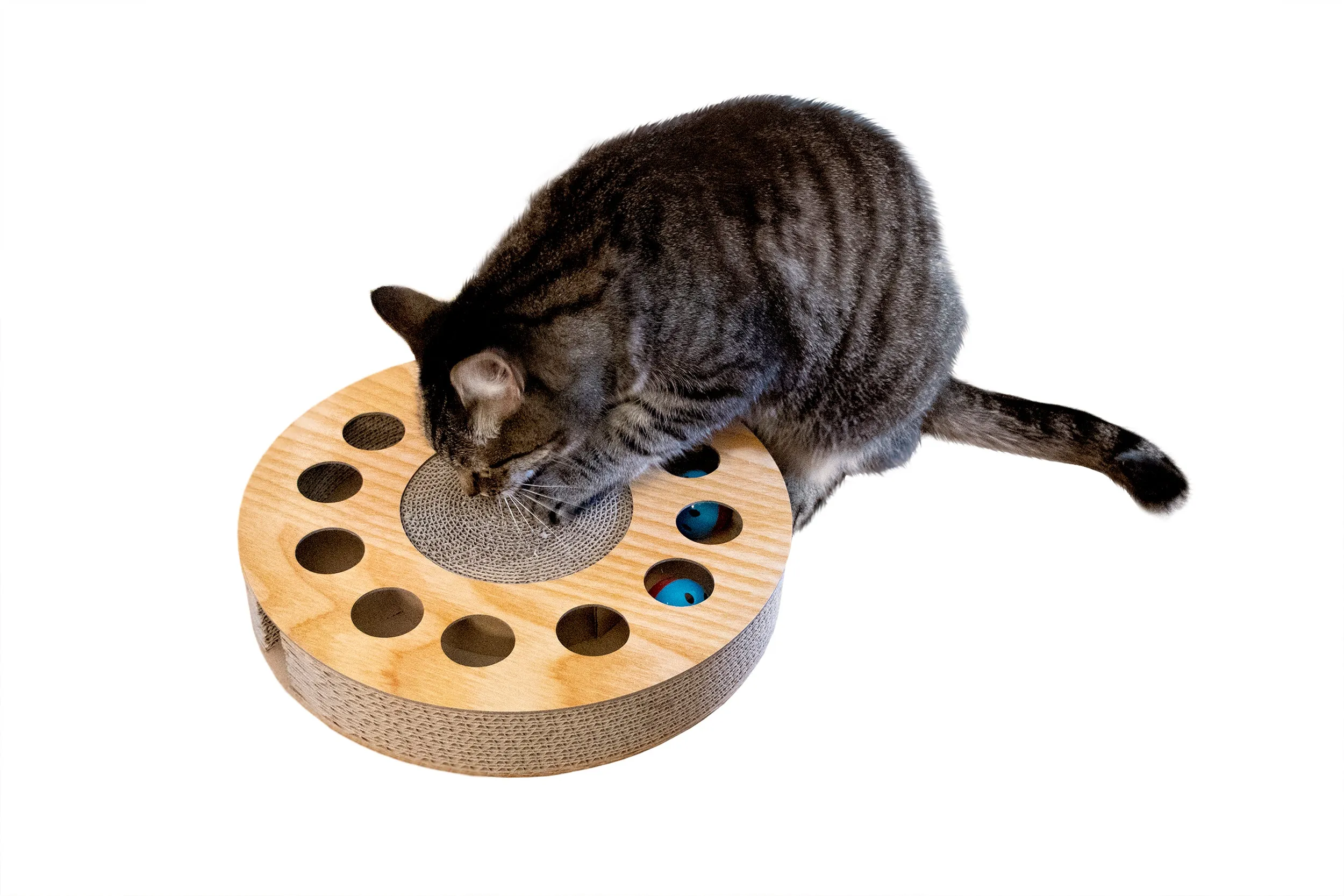 Busy Box Corrugated Cat Scratcher with Catnip