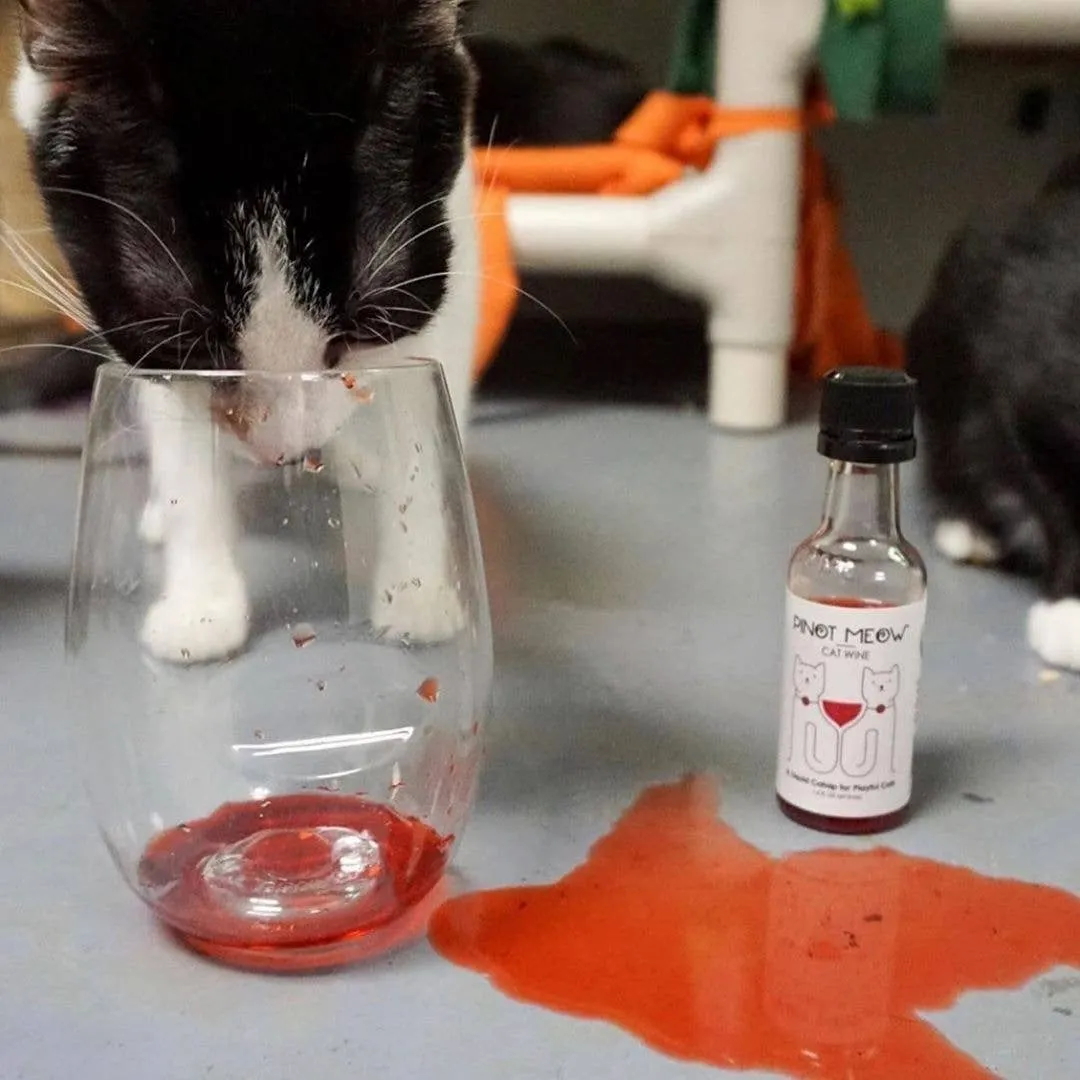 Cat Wine (Catnip drink) is