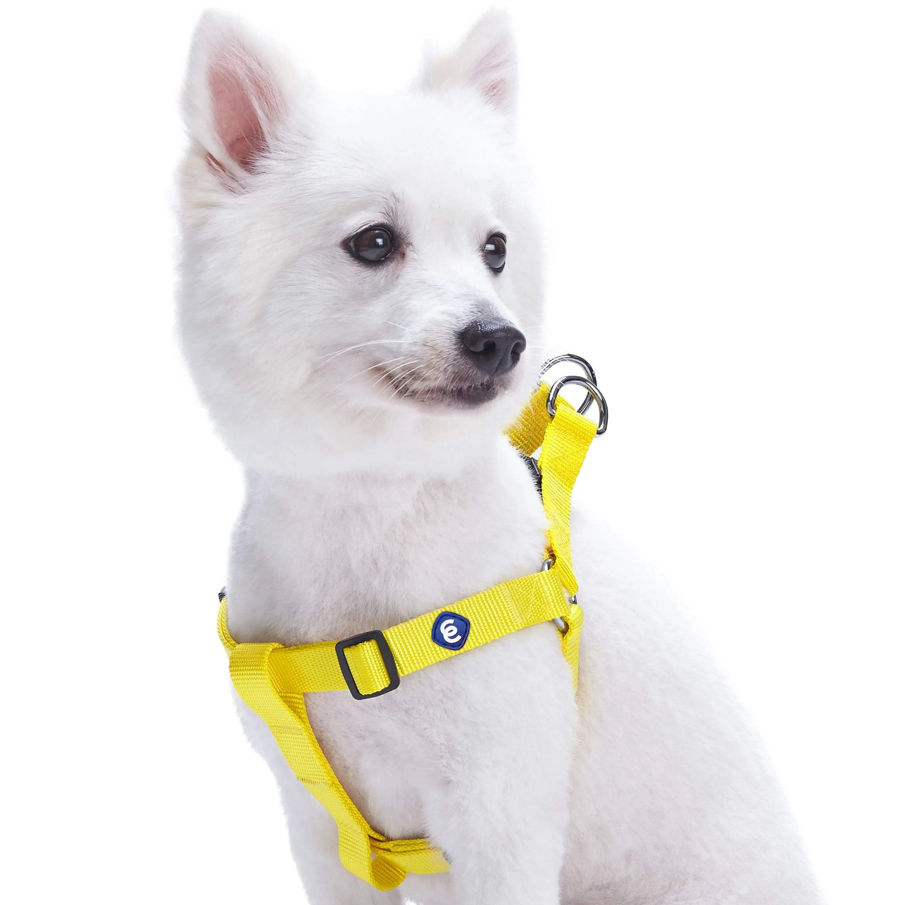 Classic Solid Color Adjustable Dog Harness, Yellow/Orange