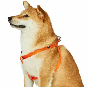 Classic Solid Color Adjustable Dog Harness, Yellow/Orange