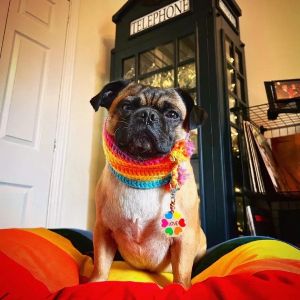 Creature Clothes Rainbow Pride Flag Dog Doza Bed