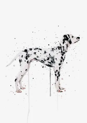 Dalmatian Dog Wall Art Print