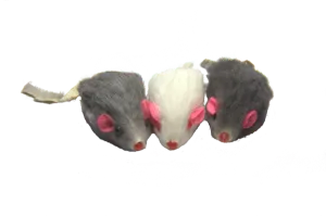 Dr. Pussums Mischief of Marinated Mice