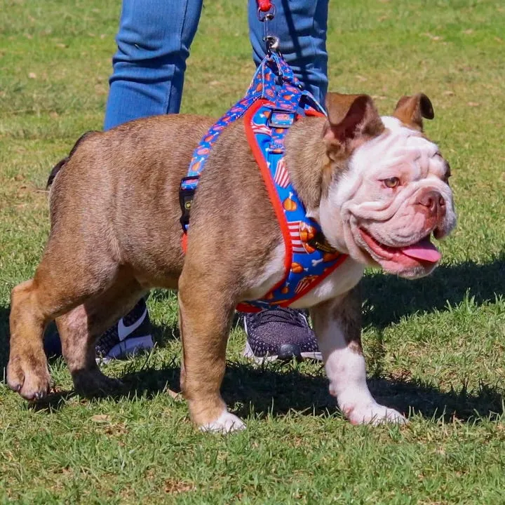 “Finger Licking Good"  Adjustable Harness ✨Bulldog collection ✨