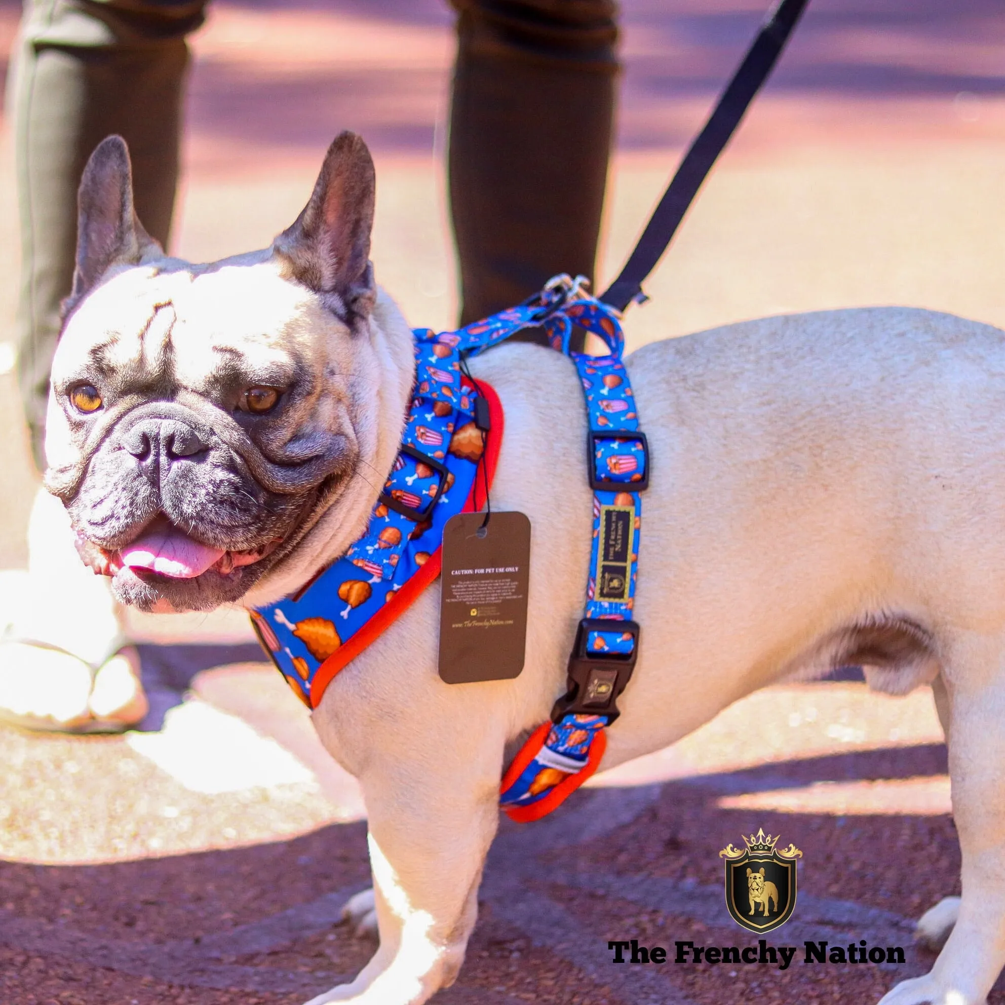 “Finger Licking Good"  Adjustable Harness ✨Bulldog collection ✨