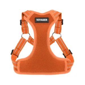 Halloween Step-in Flex Dog Harness