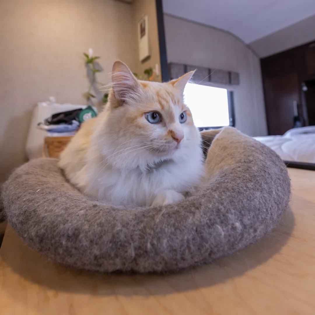 Handmade Wool Cat Cave Bed