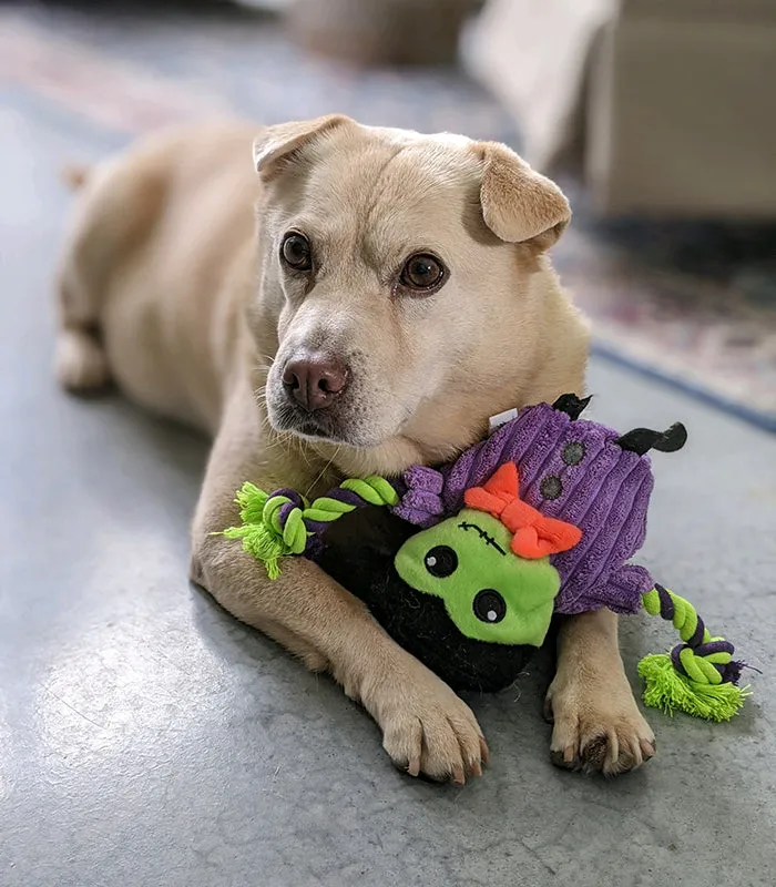 Hatchables Frank-O-Lantern: Inside-Out Dog Toy