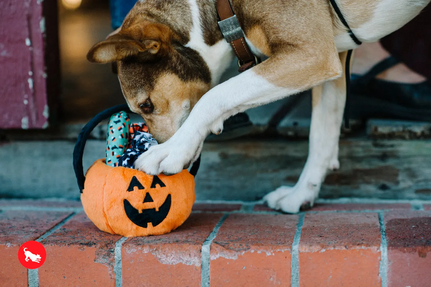 Howl-o-ween Treat Basket, Plush Dog Toy