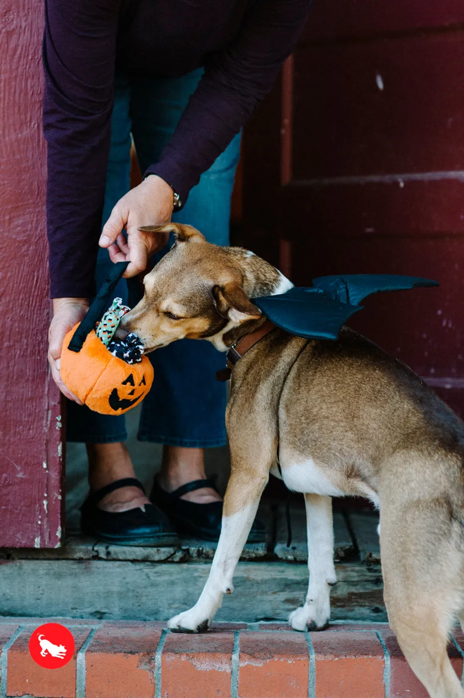 Howl-o-ween Treat Basket, Plush Dog Toy