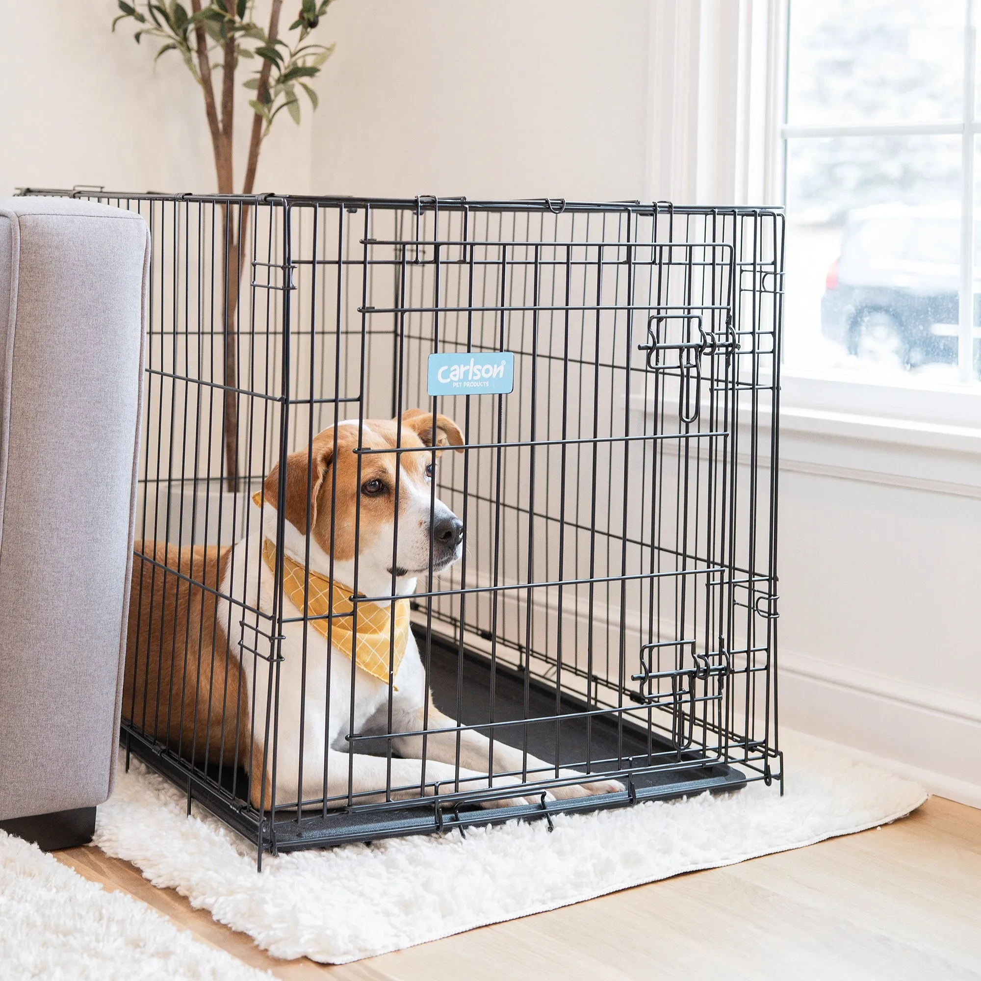 Intermediate Single-Door Dog Crate