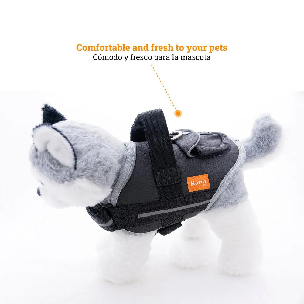 Kanu Pet Agility Black Dog Harness