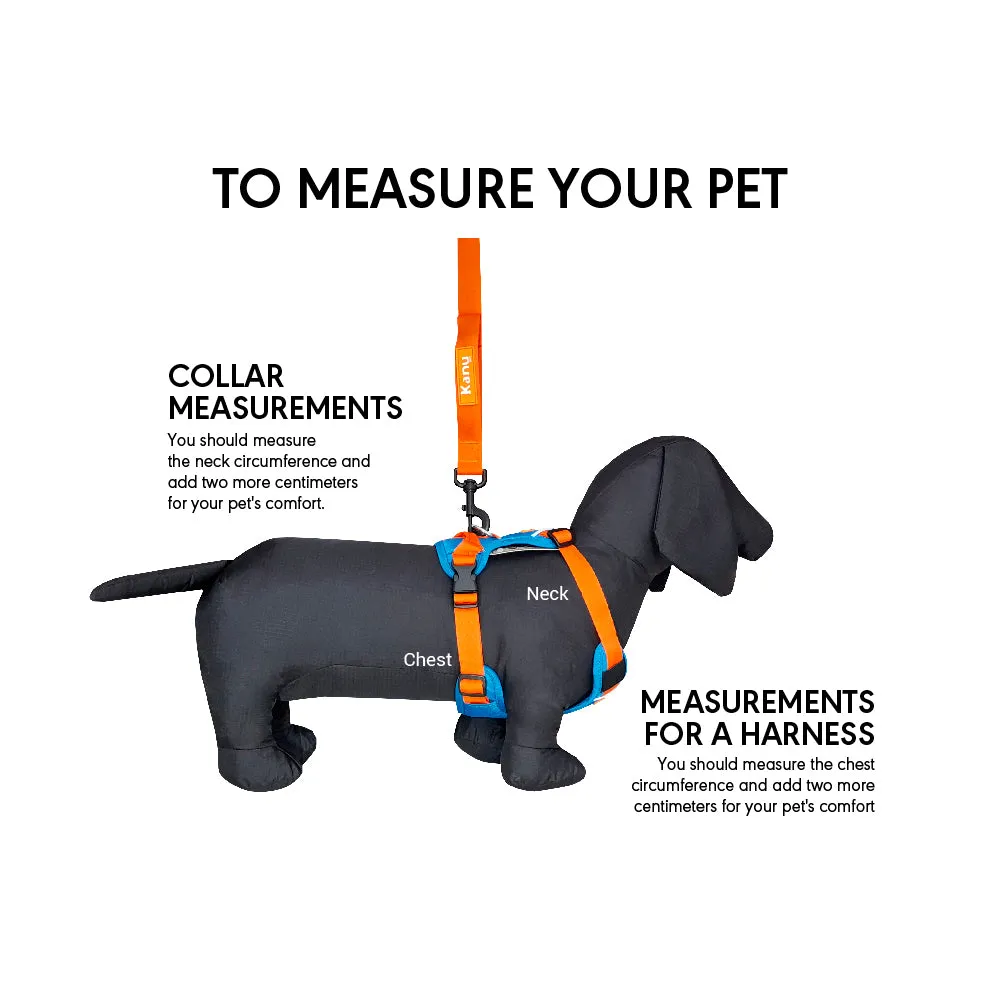 Kanu Pet Mini Walker Orange/Blue Dog Harness