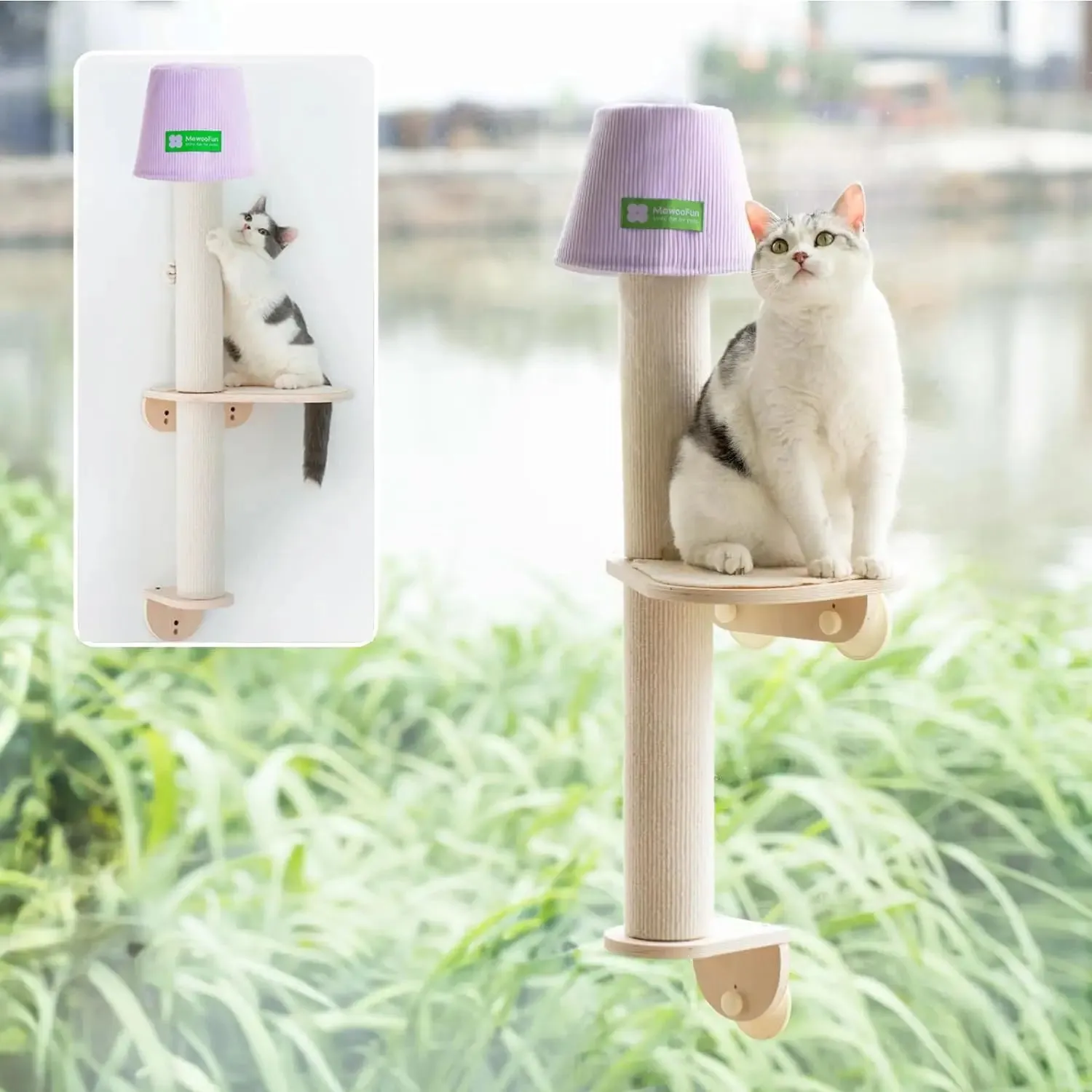 Lamp Shape Window Perch with Scratching Post