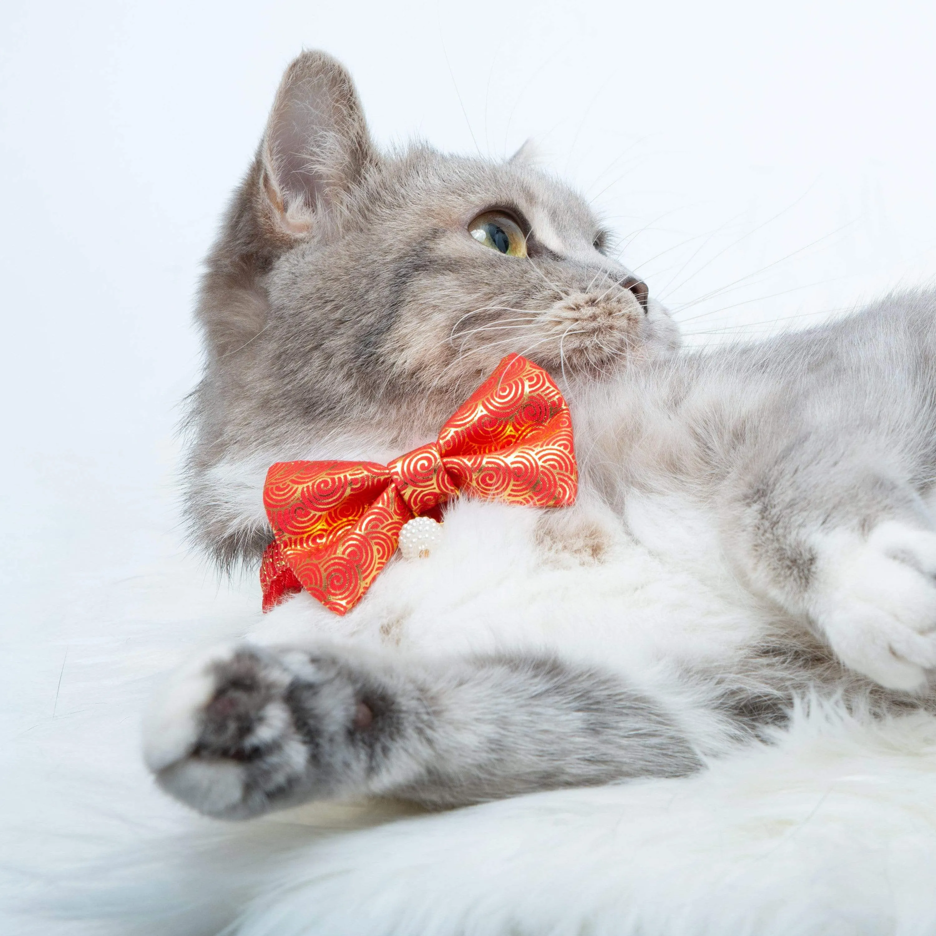 Lucky Clouds Bowtie Cat Collar with Pearl