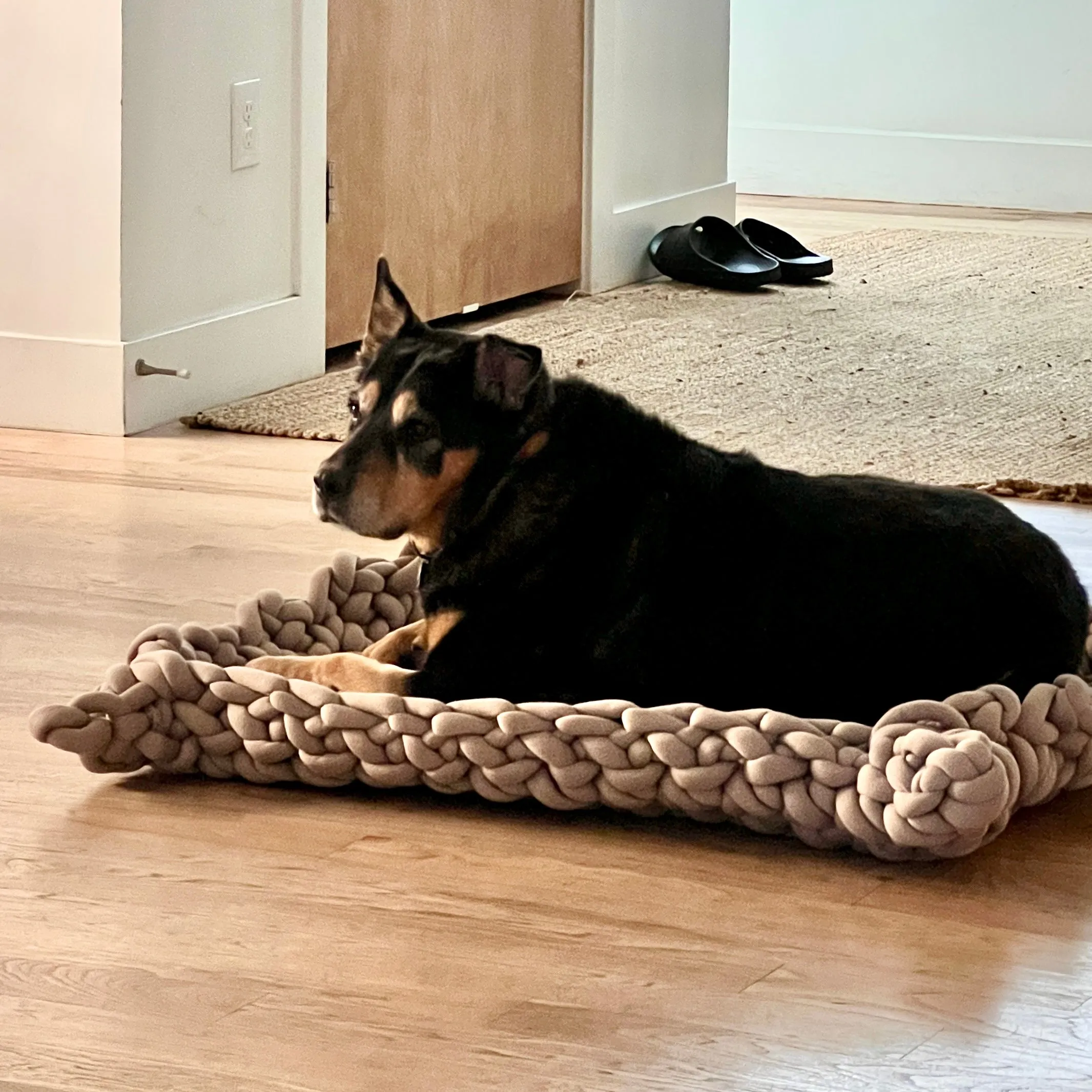 Lucy Pet Bed Kit