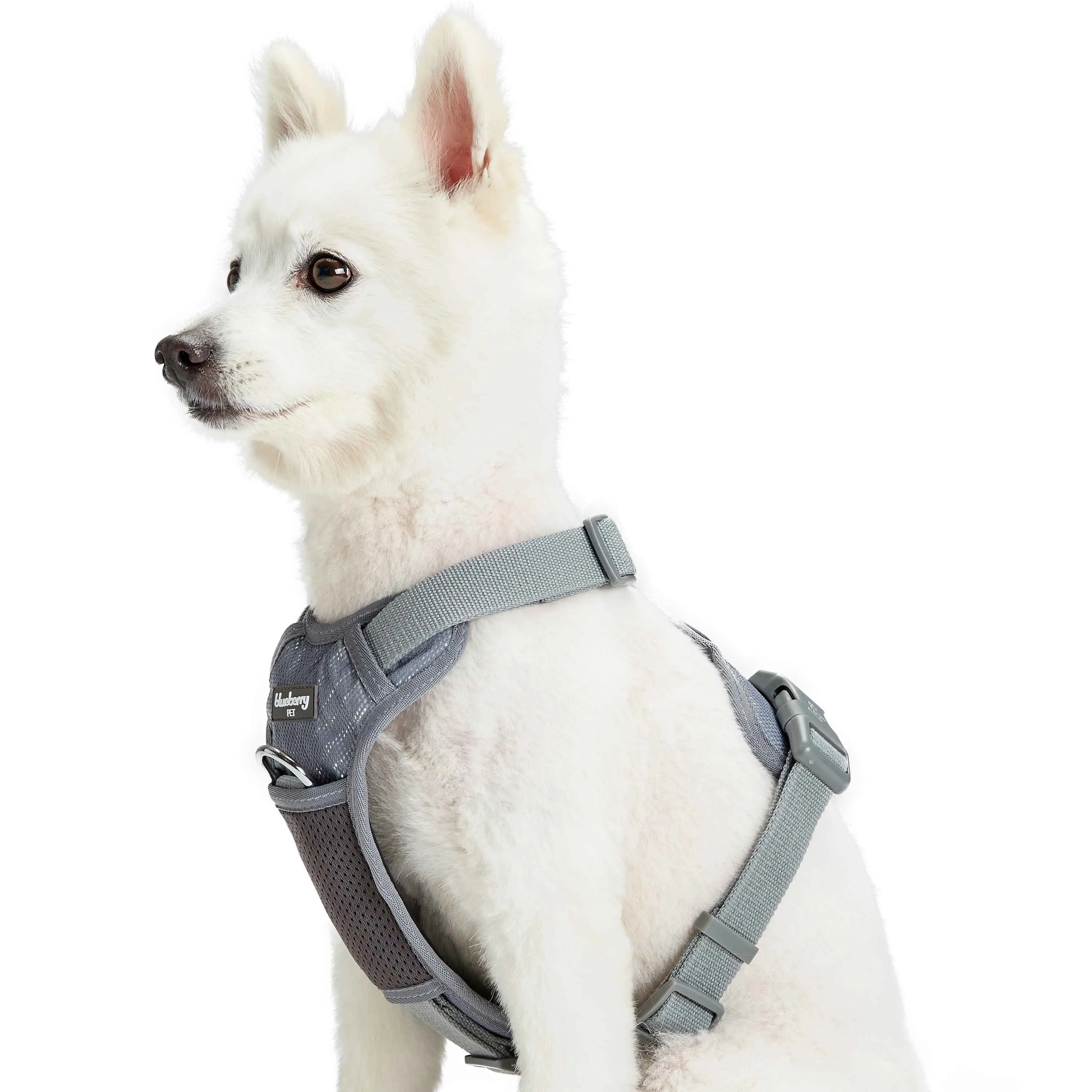 No Pull | Reflective Mesh Padded Dog Harness Vest