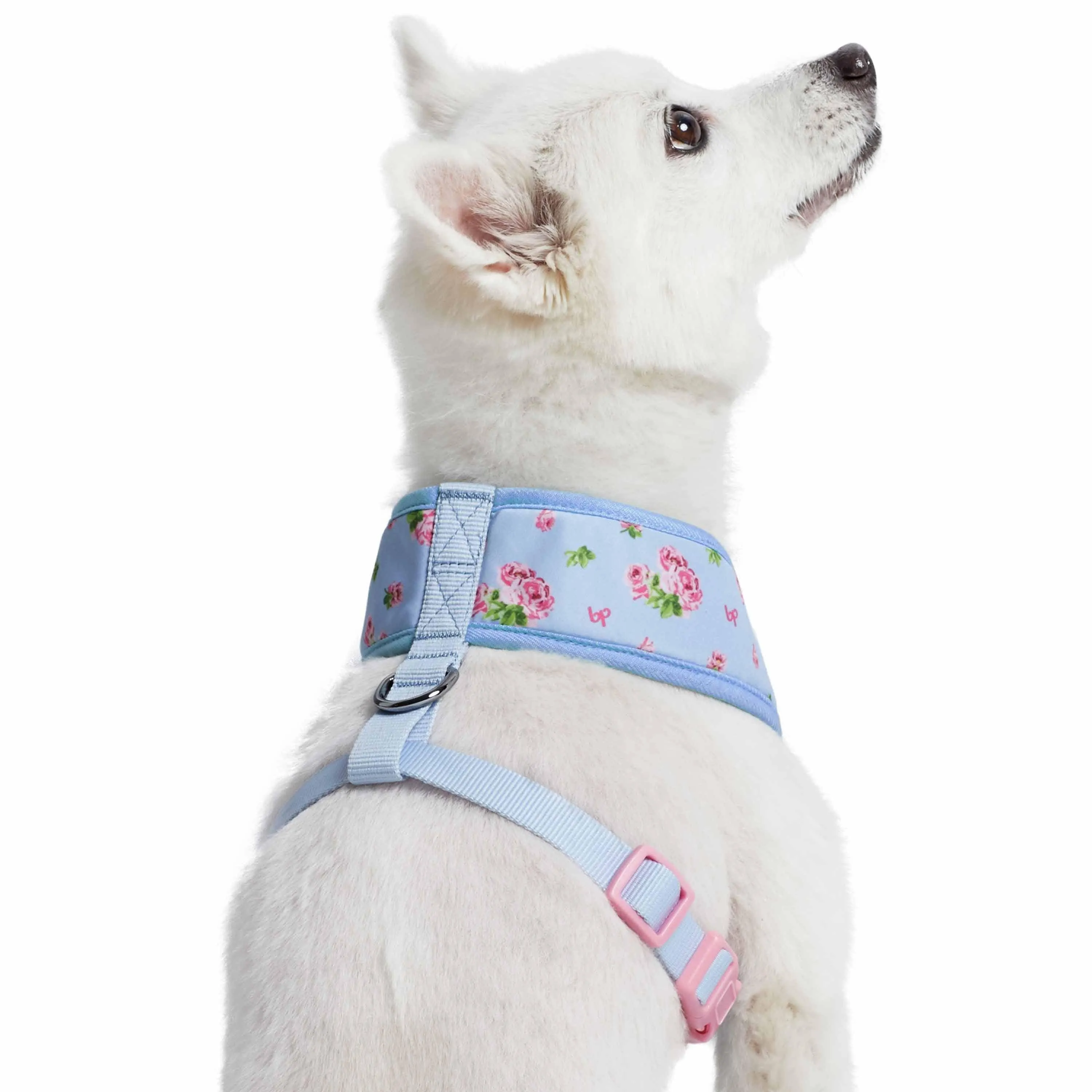 Petal Paws Floral Dog Harness Vest