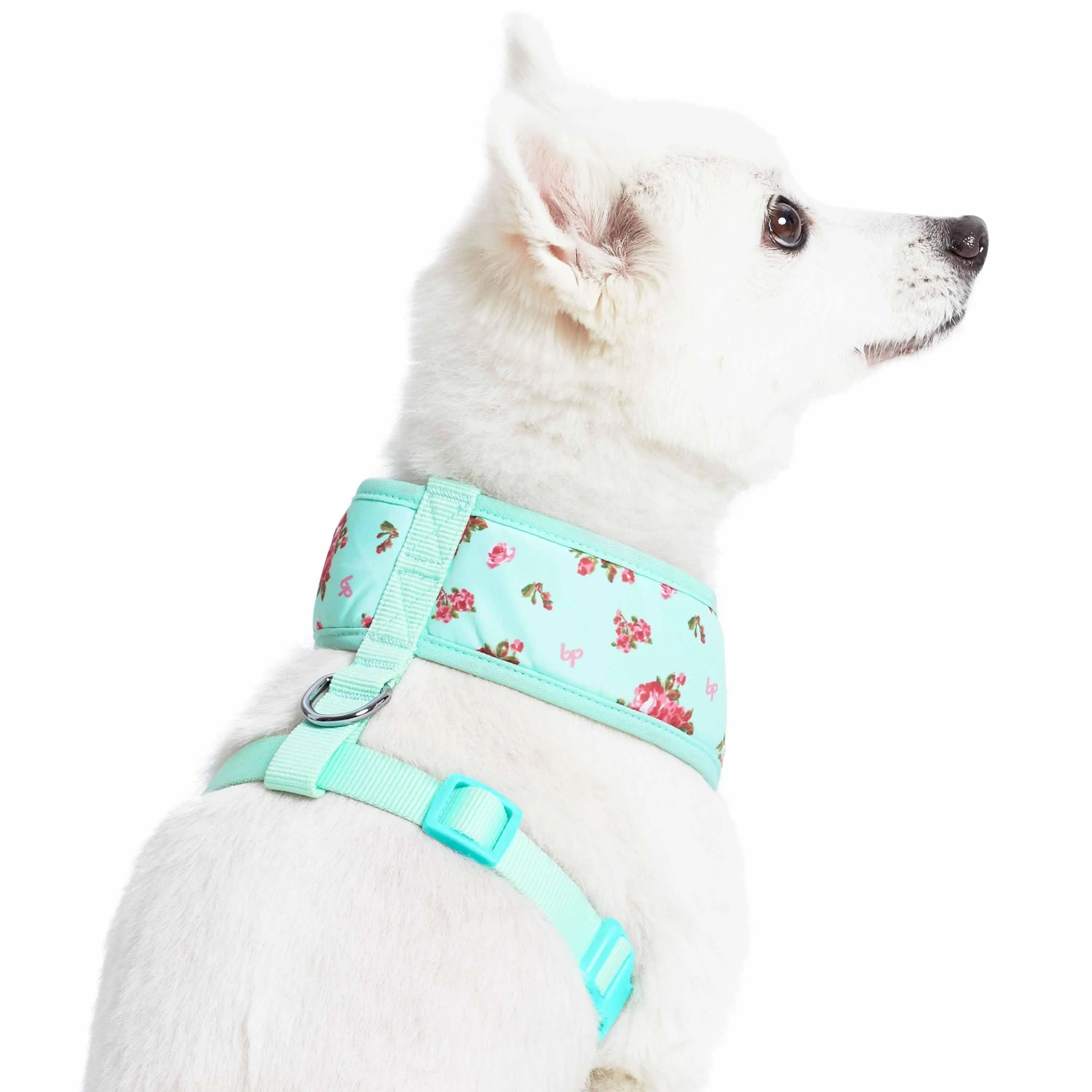 Petal Paws Floral Dog Harness Vest