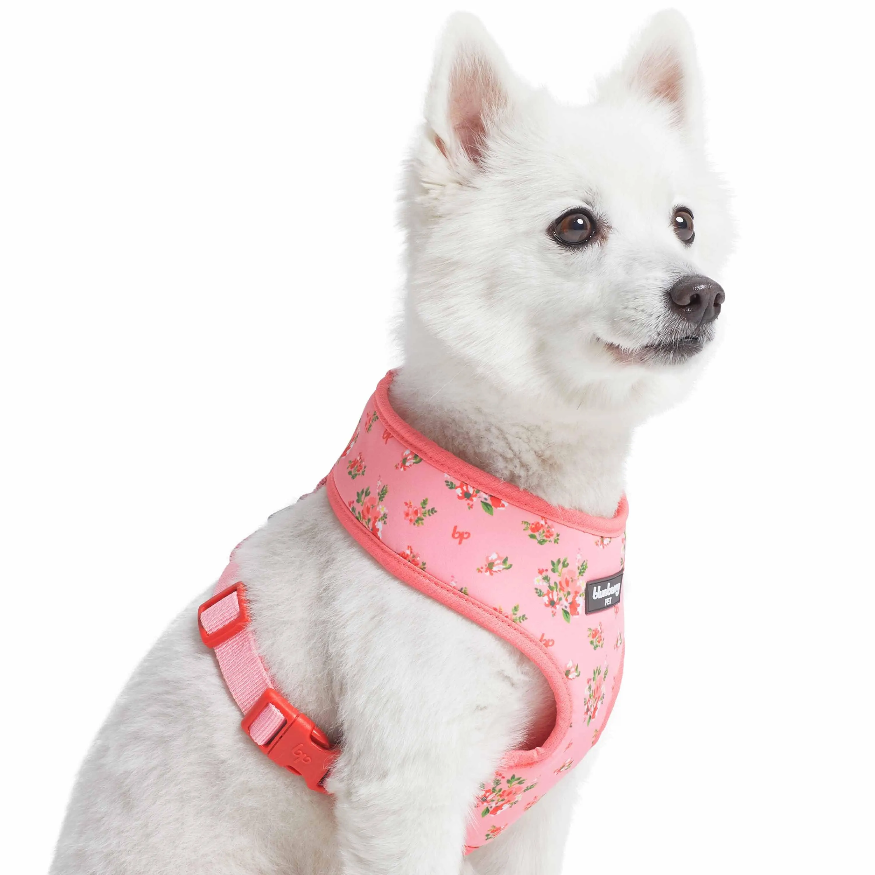 Petal Paws Floral Dog Harness Vest