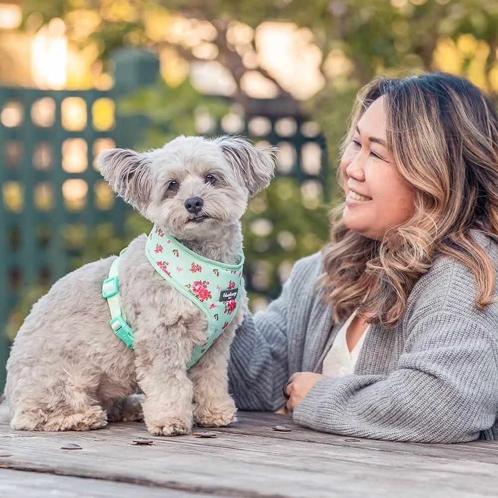 Petal Paws Floral Dog Harness Vest