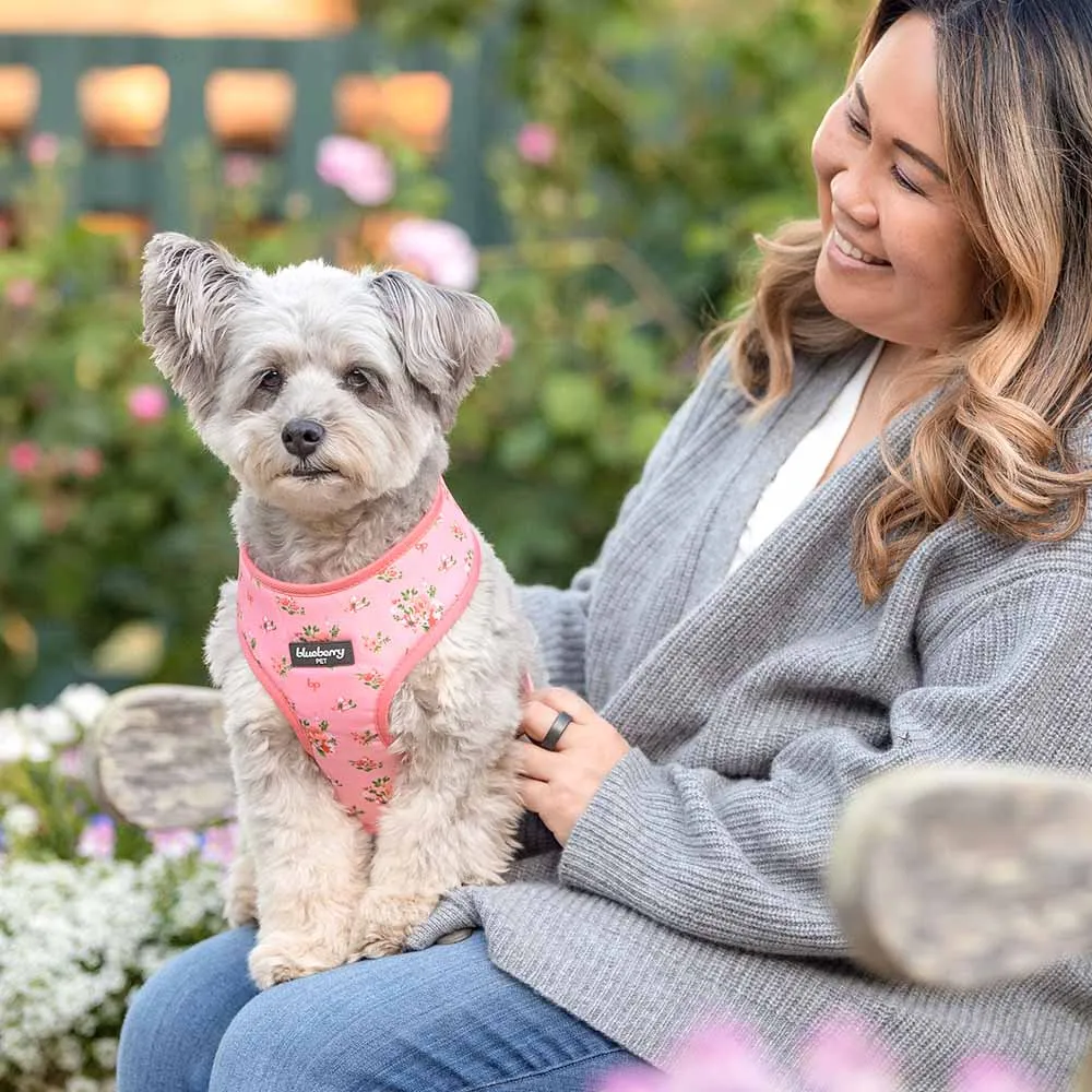 Petal Paws Floral Dog Harness Vest