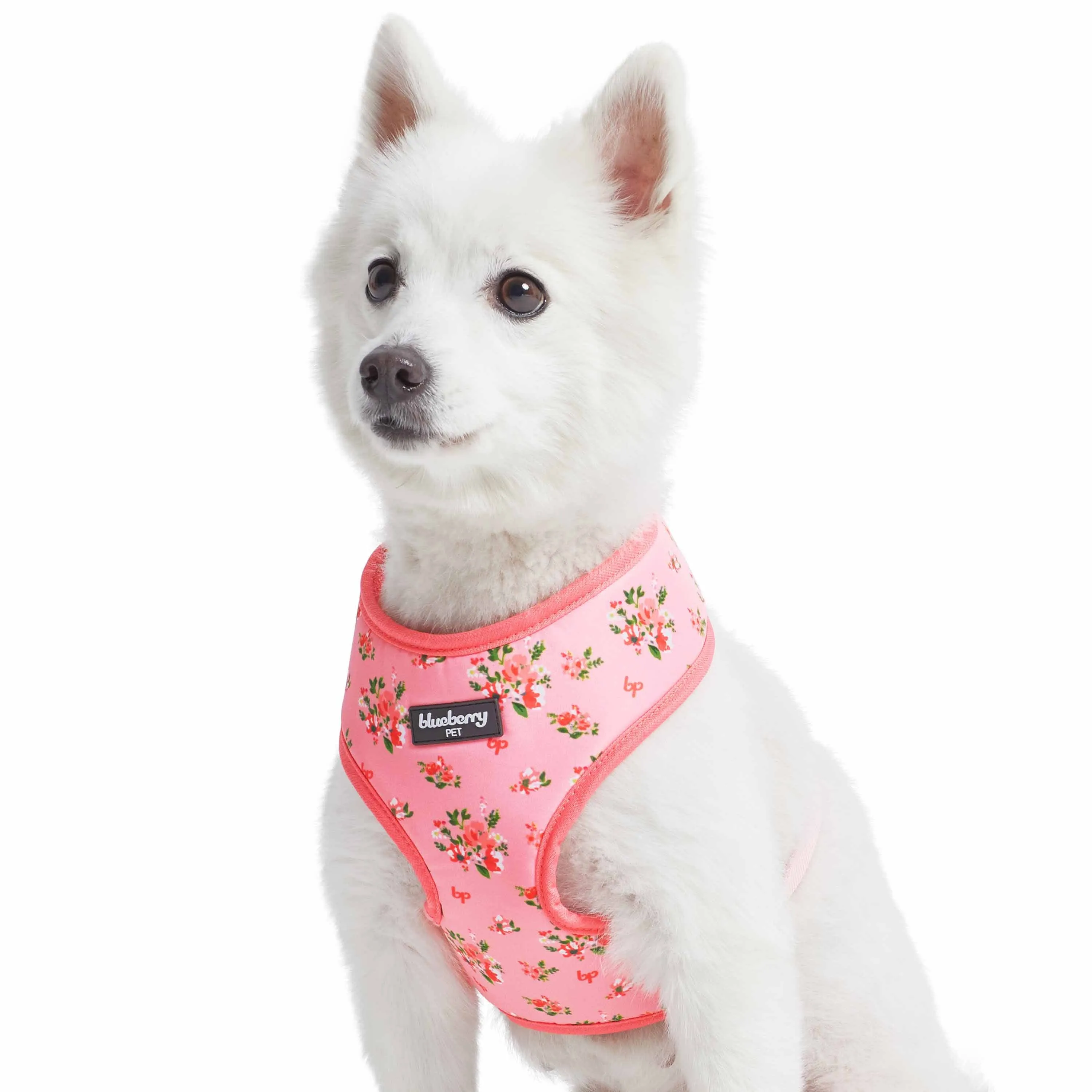 Petal Paws Floral Dog Harness Vest