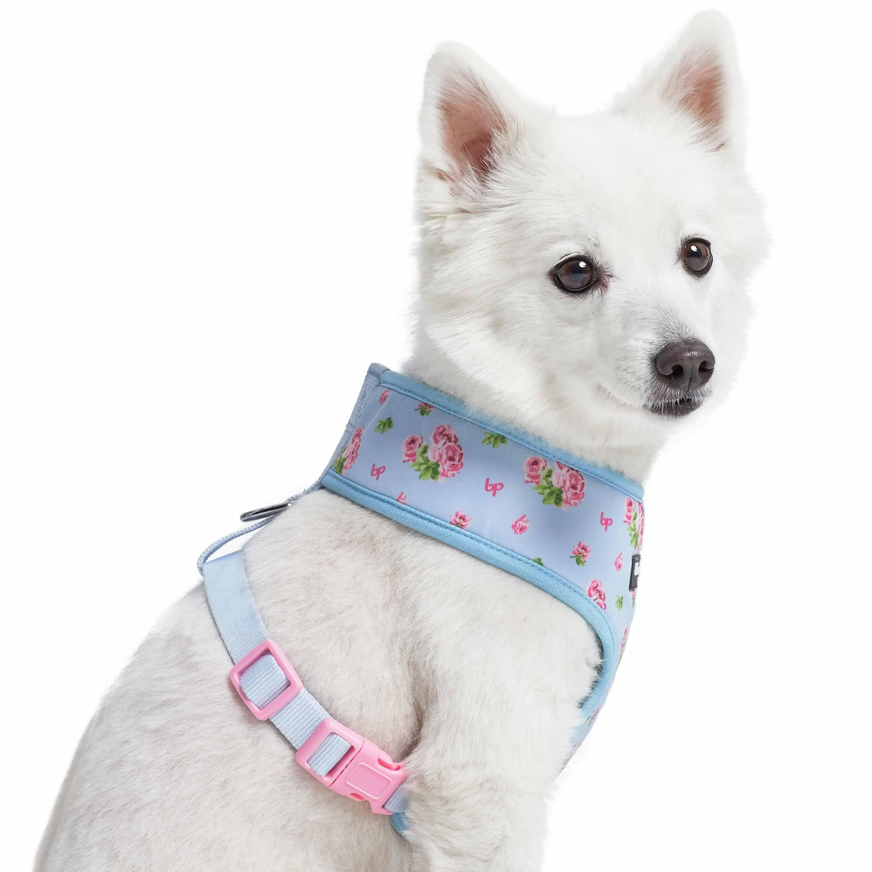 Petal Paws Floral Dog Harness Vest