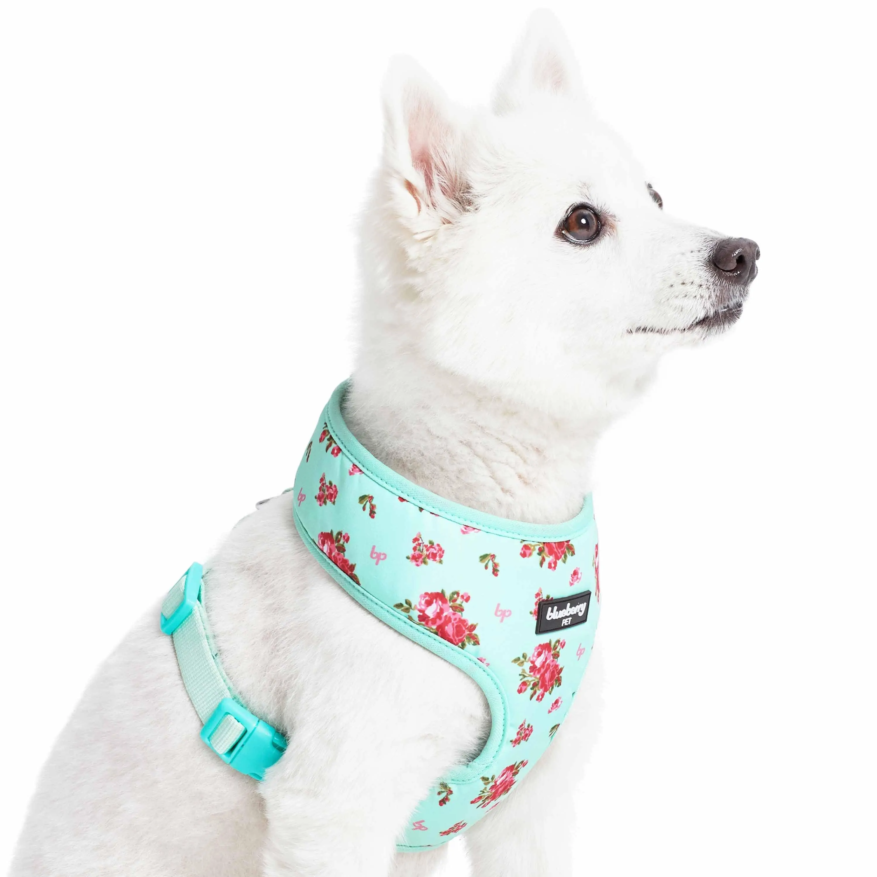 Petal Paws Floral Dog Harness Vest