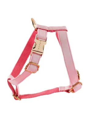 Pink Lemonade Dog Harness