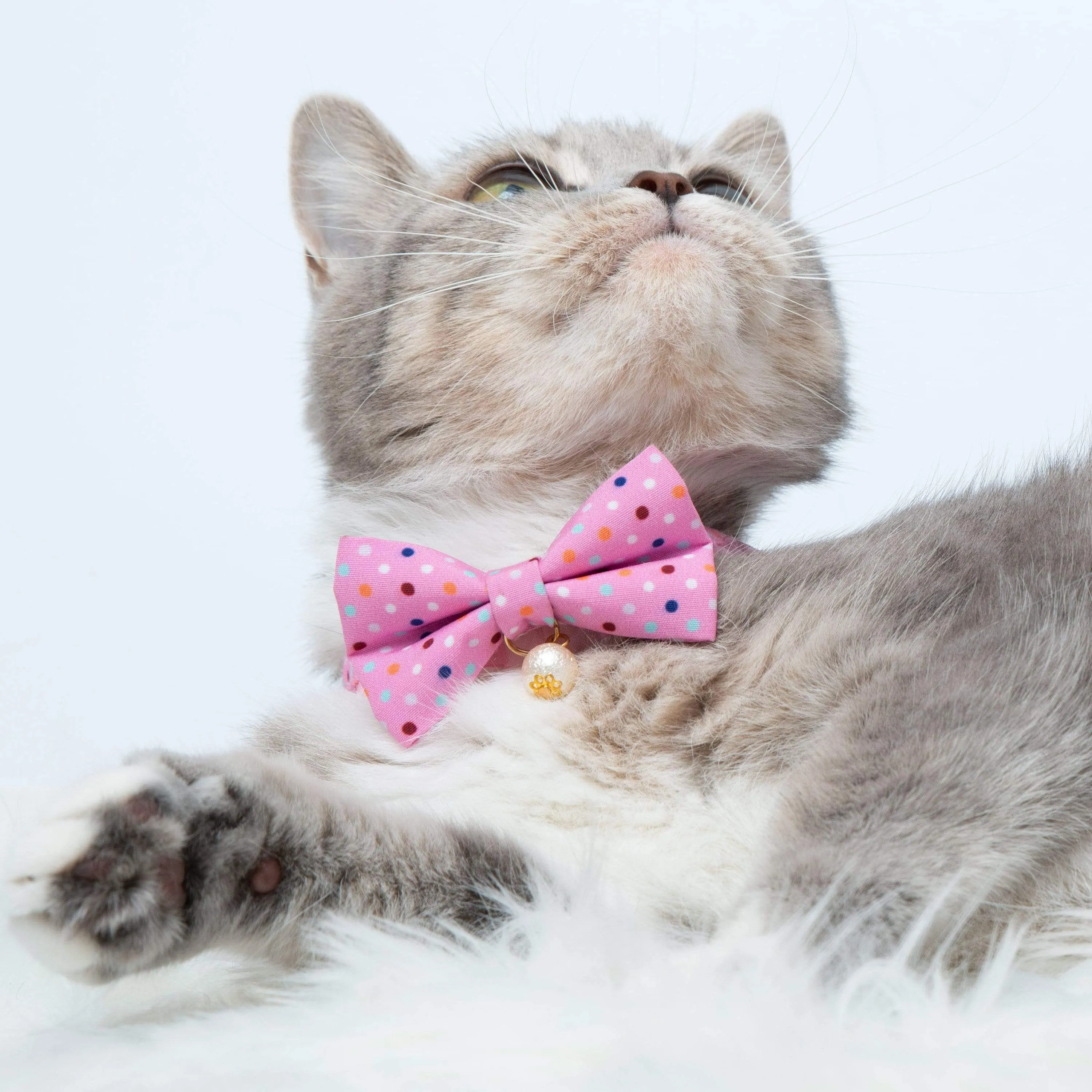 Polka Dot Bowtie Cat Collar with Pearl