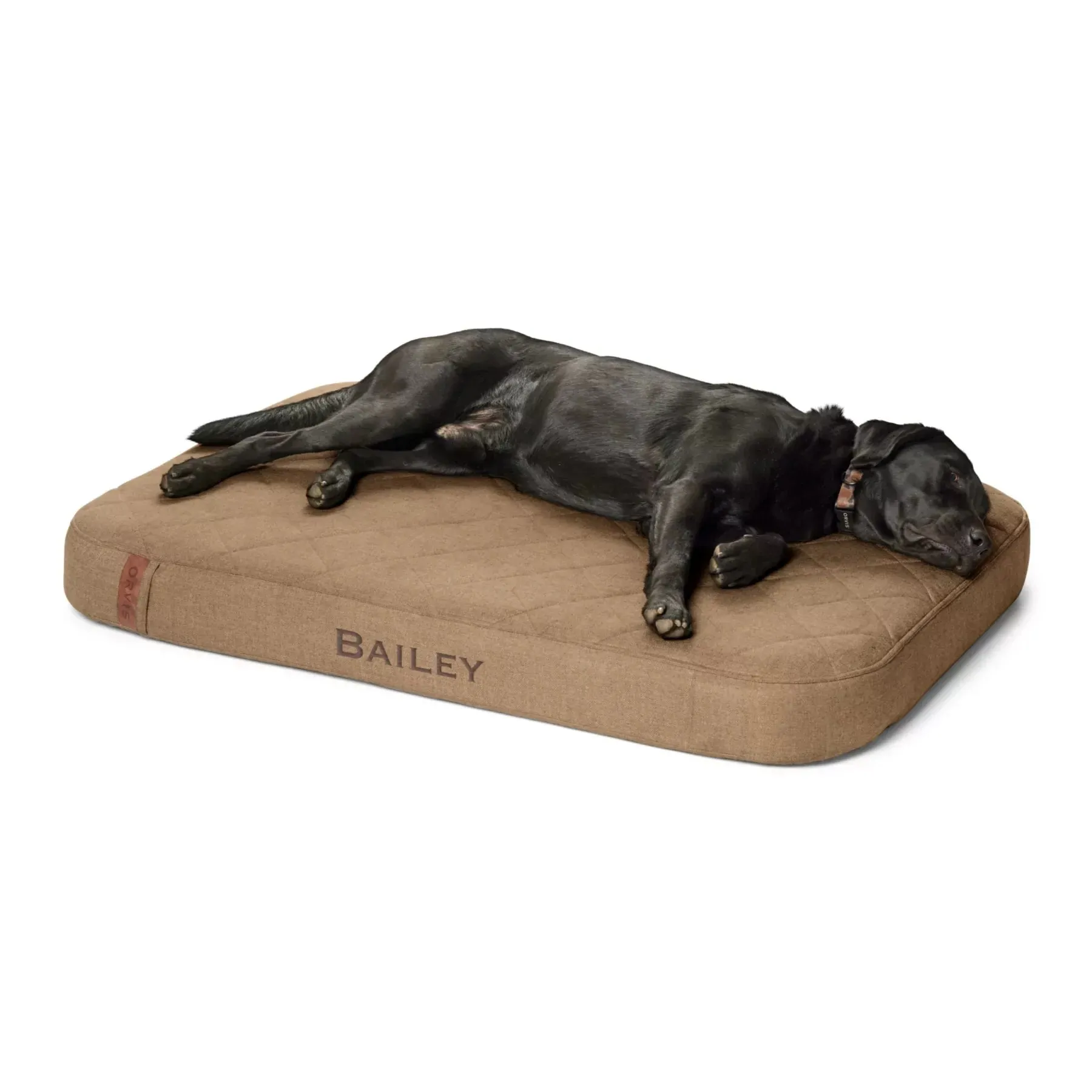 RecoveryZone® ToughChew® Lounger Dog Bed