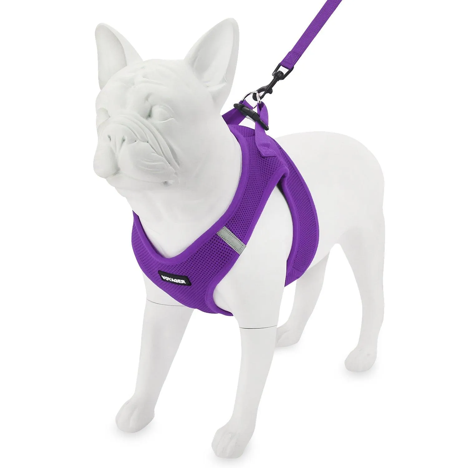 Step-In Air Harness & Leash Set with Matching Trim