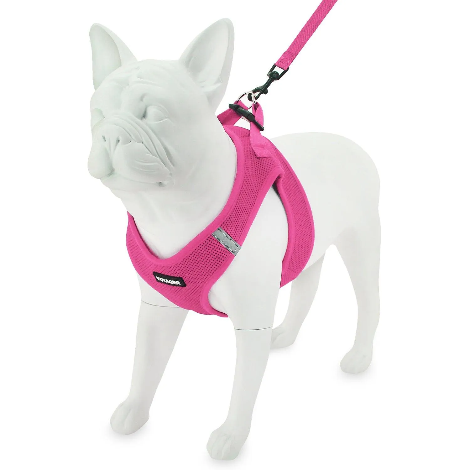 Step-In Air Harness & Leash Set with Matching Trim