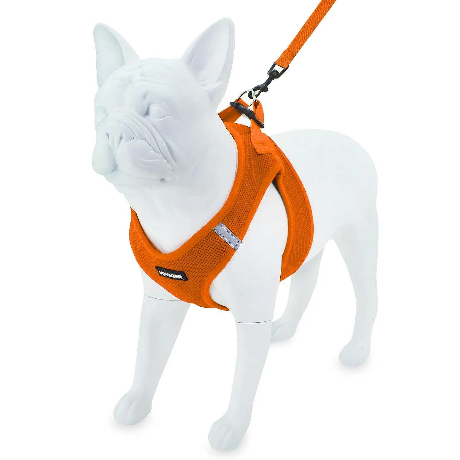 Step-In Air Harness & Leash Set with Matching Trim