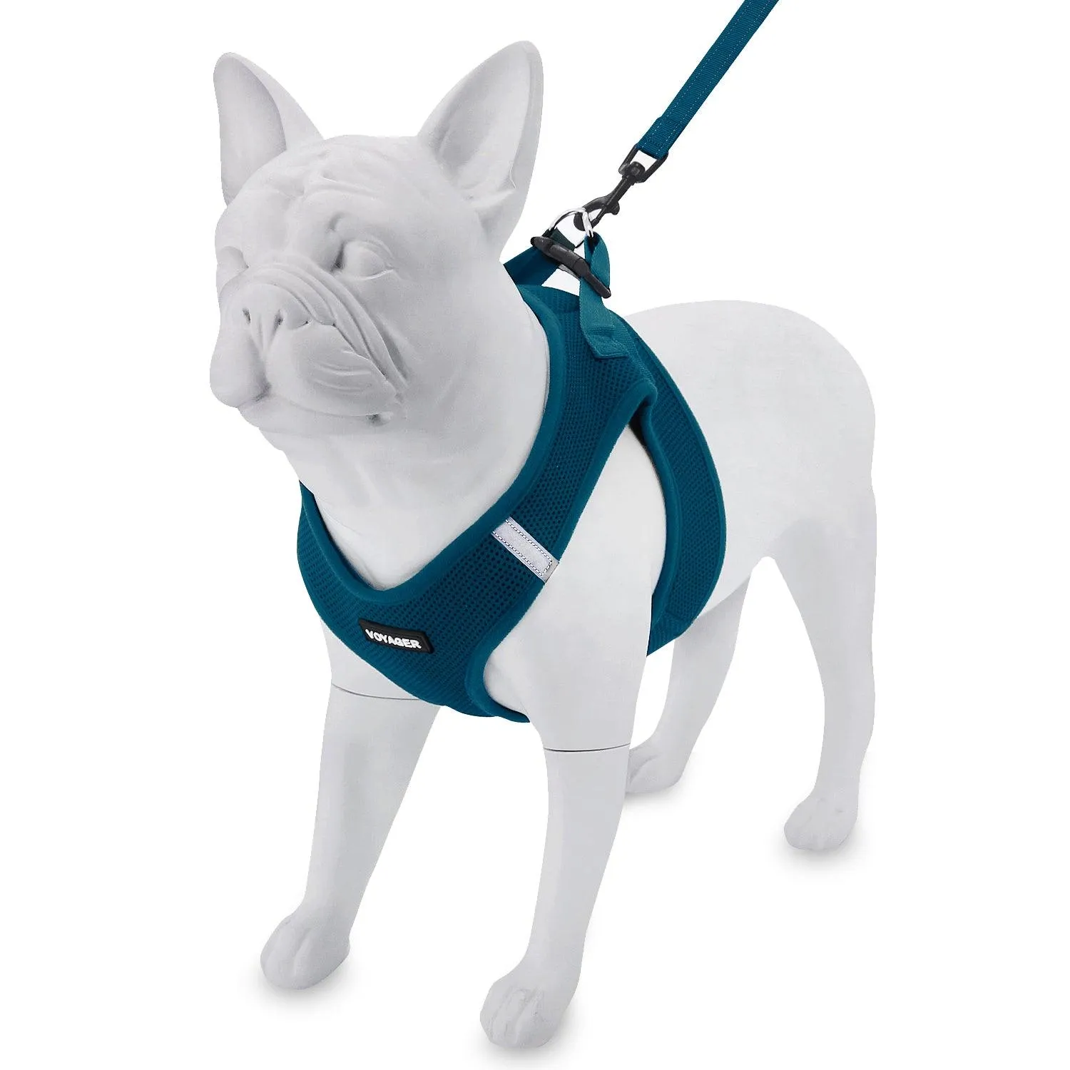 Step-In Air Harness & Leash Set with Matching Trim