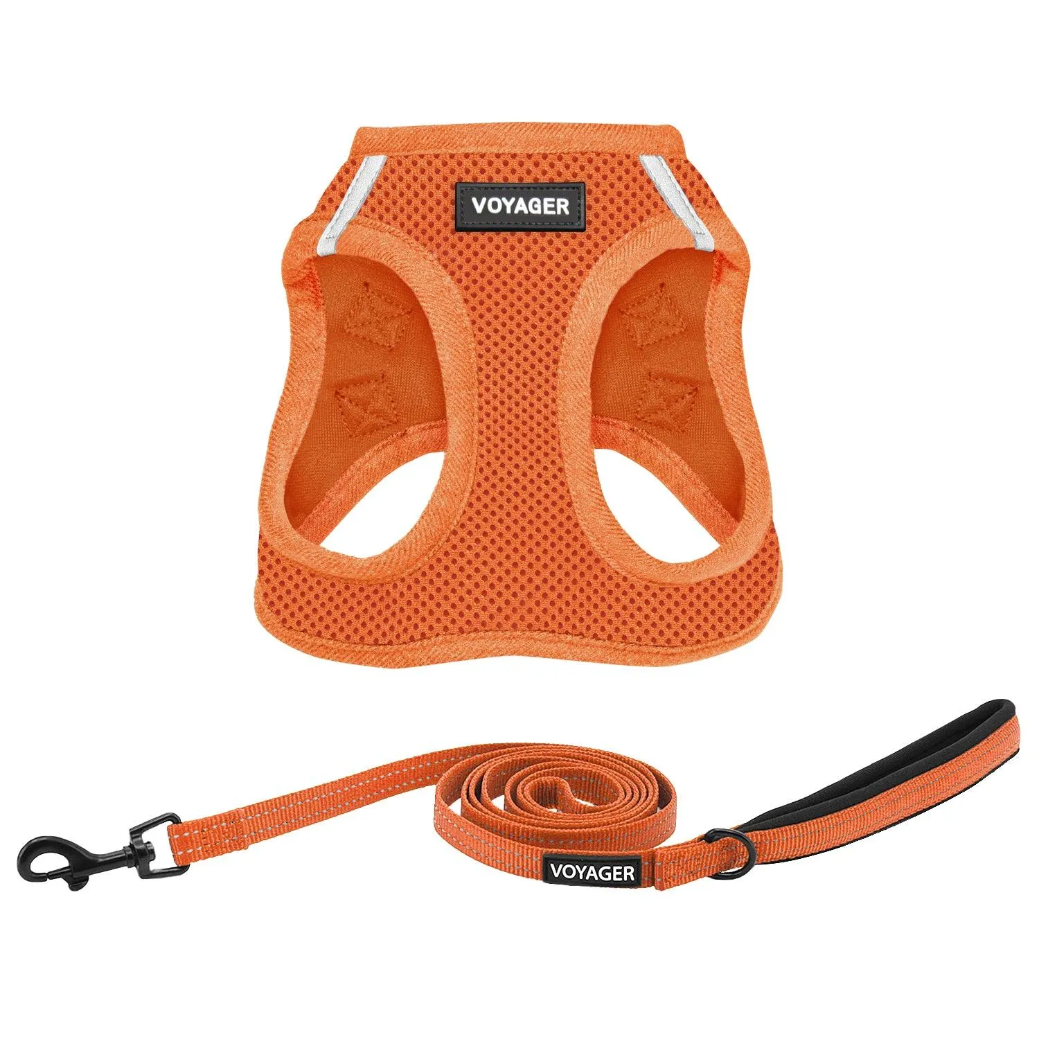 Step-In Air Harness & Leash Set with Matching Trim