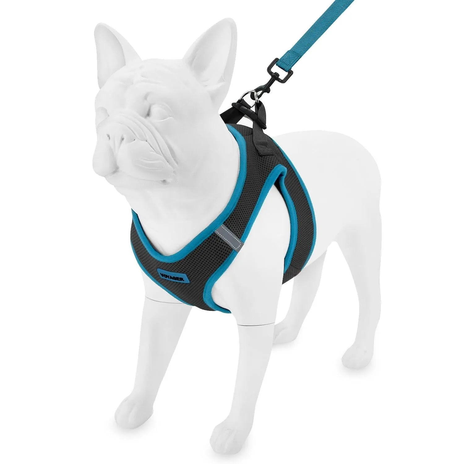 Step-In Air Mesh Harness & Leash Set For Ultimate Comfort